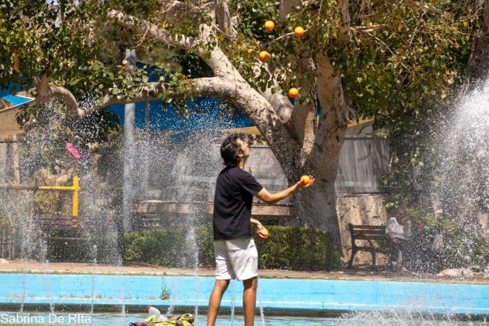גן הזיכרון (צילום: סברינה דה ריטה)