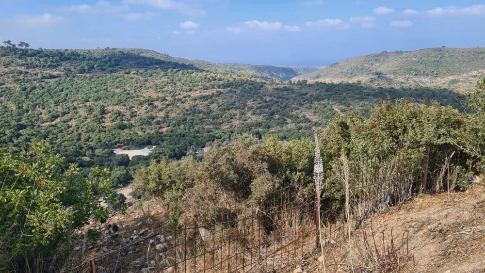 הנוף המרהיב מערבה הנשקף ממצפור הנוטרים בחוות משמר הכרמל (צילום: יעל הורוביץ)