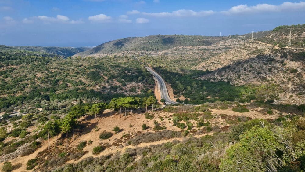 נופיו המרהיבים של ההר הירוק תמיד, מבט ממצפור הנוטרים בחוות משמר הכרמל (צילום: יעל הורוביץ)