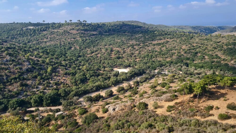 נופיו המרהיבים של ההר הירוק תמיד, מבט ממצפור הנוטרים בחוות משמר הכרמל (צילום: יעל הורוביץ)