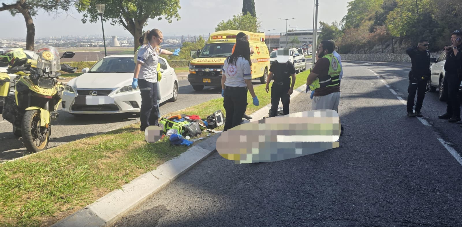 תאונת דרכים קטלנית (צילום: מד
