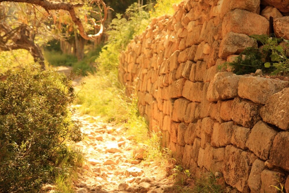 נחל שיח (צילום: אבי אלבאום)