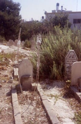 מנהג לשתול פרחים על קברים (צילום: אמוץ דפני)