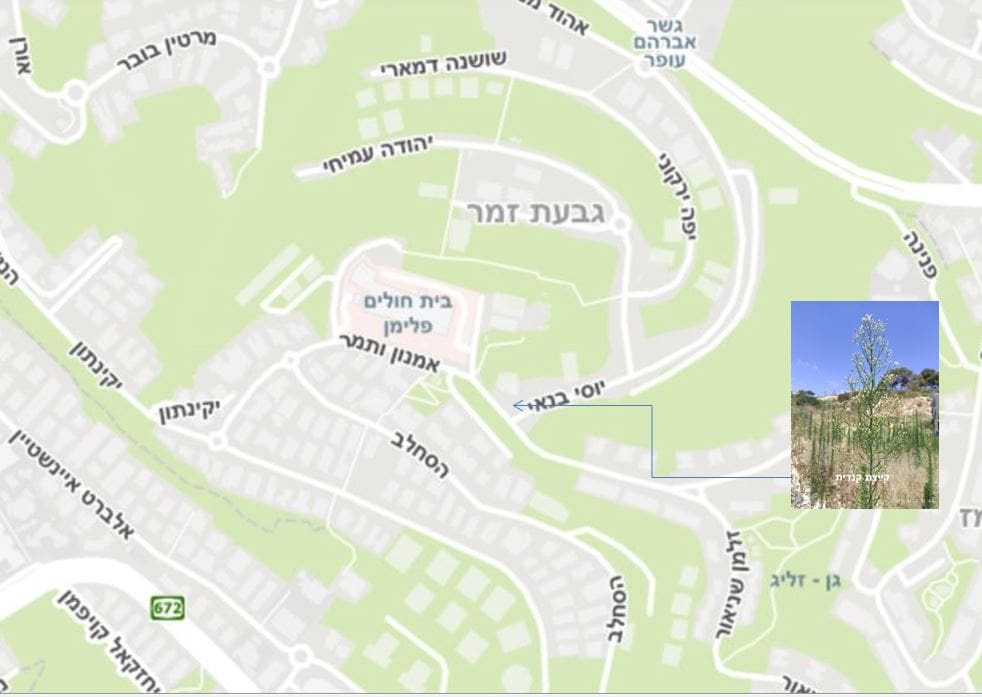 מפגש עם קוצן קיפח • המפה באדיבות מרכז מפות ישראל