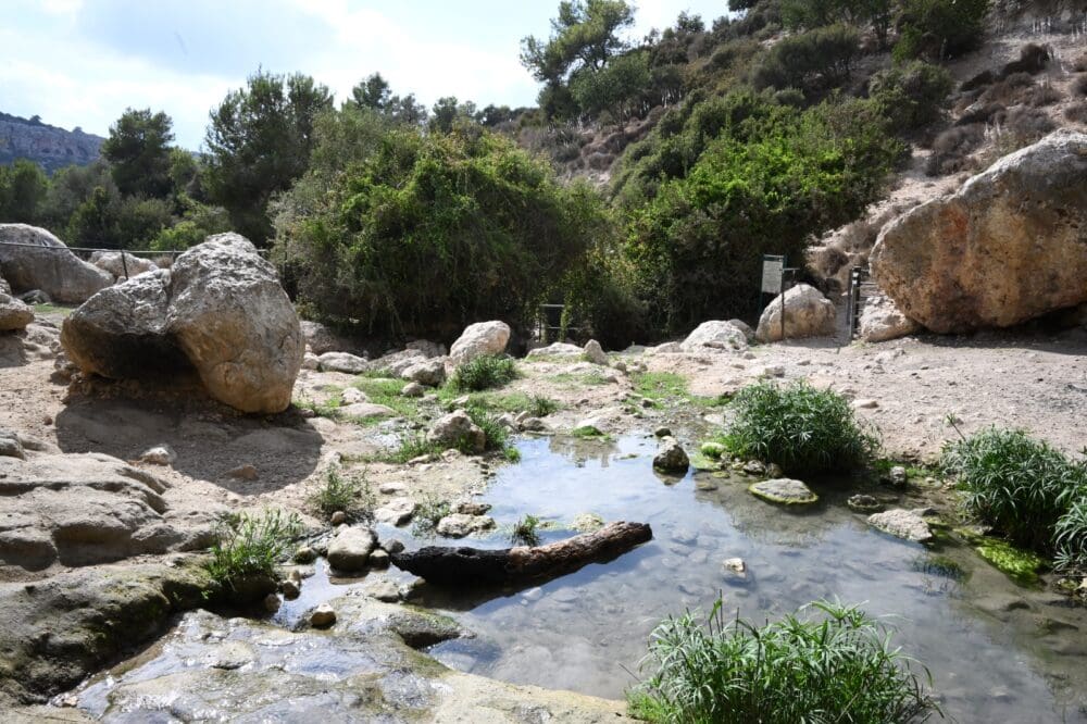עין קדם (צילום: גילי גהוזי)