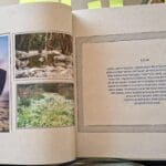 בית אביבה גלברט – מתוך הספר המאגד חלק מיצירותיה (צילום: רחלי אורבך)