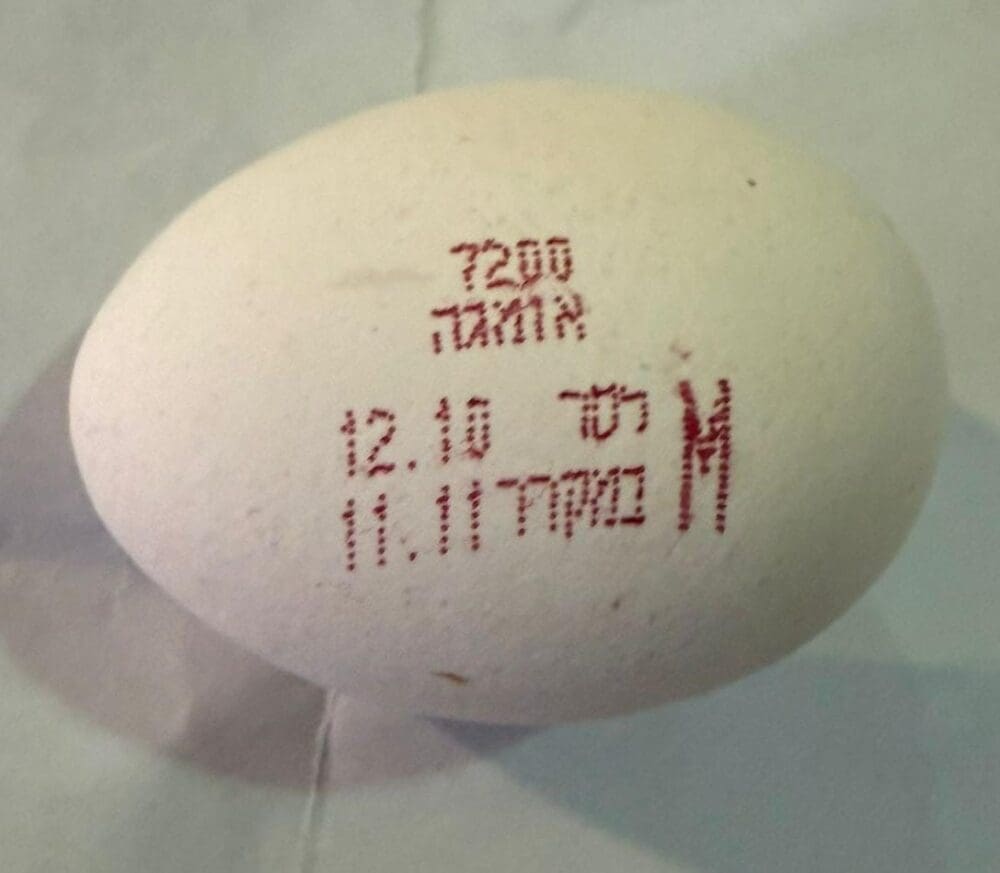 ביצה אומגה 3 של לסר עם תאריך לשימוש (צילום: משרד הבריאות)