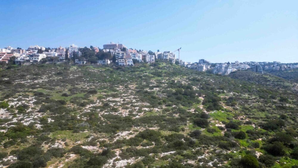 מורדות לינקולן (צילום רחפן: מרום בן אריה)