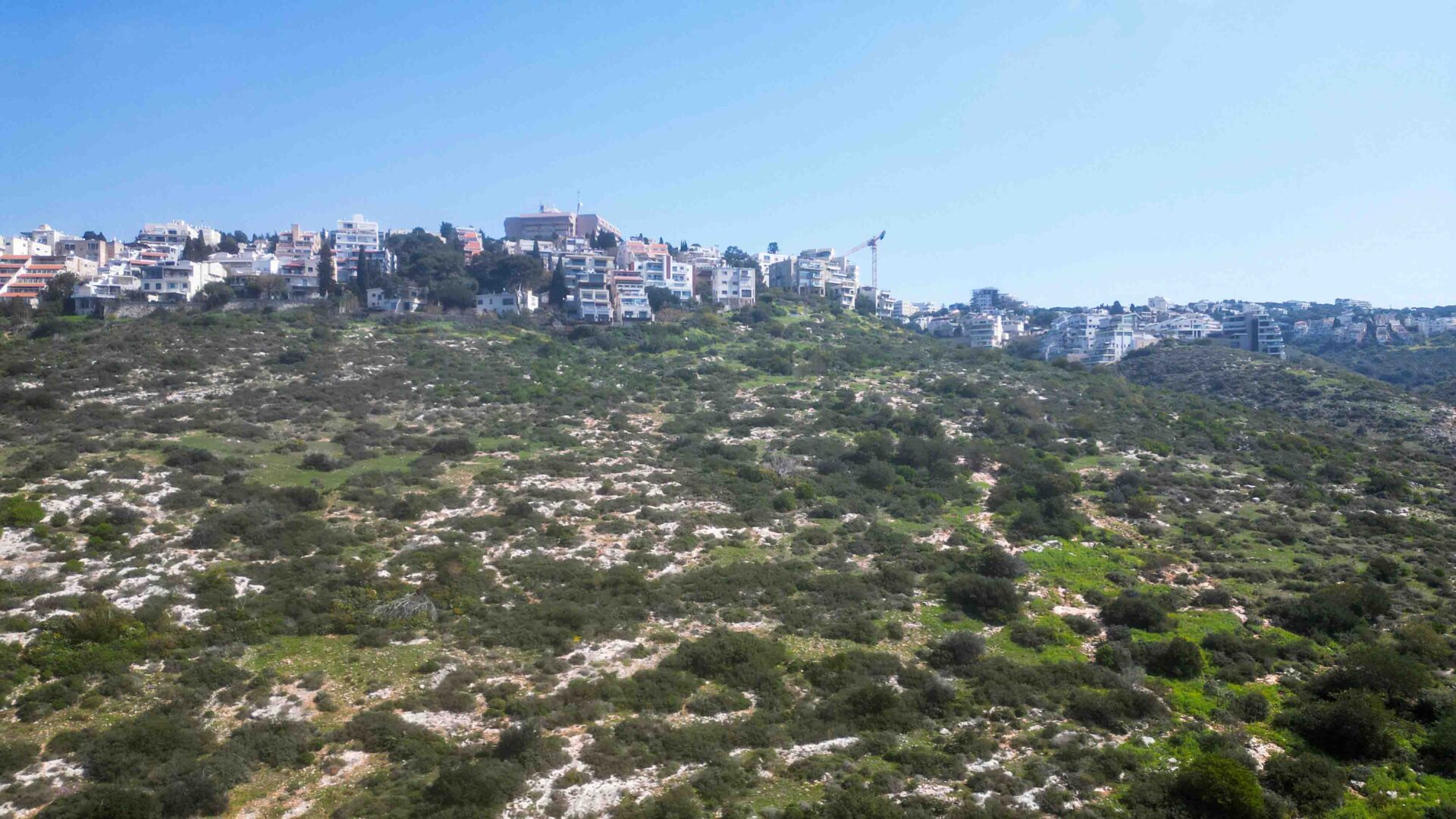מורדות לינקולן (צילום רחפן: מרום בן אריה)