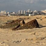 זחל של משוריין על החוף הדרומי (צילום: ירון כרמי)