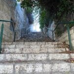 גרם מדרגות – רחוב שיבת ציון – חיפה (צילום – ירון כרמי)
