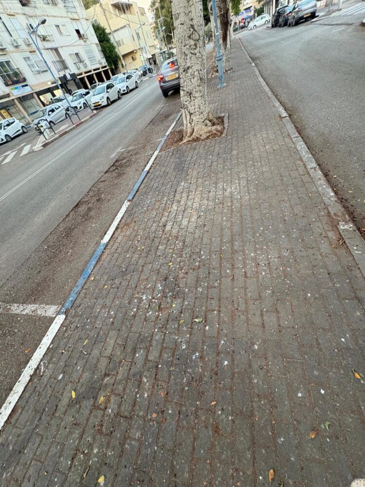 מדרכה מטונפת בלשלשת של ציפורים ברחוב המרכזי בשכונת בת גלים (צילום: מיכל גרובר)