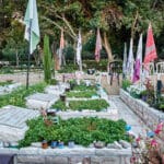 אחיה דסקל, לוויה צבאית, חיפה, ישראל, חייל, הלוויה, כבוד, דגל ישראל, קבורה צבאית, בית עלמין צבאי, מדים, ארון קבורה, מסע הלוויה, זיכרון, שבר, שתיקה, אבל, רובה, רובים, נשק, חיילים, עמידה, מסדר, דום, הנפת דגל, דממת כבוד, נעימת אל חנן, כיתת יורים, קצינים, משפחה שכולה, אזרחים, פרחים, זר פרחים, אנדרטה, קבר, חלל, חללים, מלחמה, קרב, נפילה, נפלו, נפל, עצמאות, מדינה, משמרתם, מטח כבוד, מצבה, מצבות, אמא, אבא, גבעתי, צה״ל, גיבור, דגלים, יחידה, יחידות, גולני, צנחנים, נח"ל, כפיר, חטיבת הקומנדו, סיירת מטכ"ל, שייטת 13, יחידת שלדג, שריון, תותחנים, הנדסה קרבית, חיל האוויר, חיל הים, מודיעין, פיקוד העורף, תקשוב, עצב, יגון, כואב, געגוע, הערכה, גאווה, תנחומים, תקווה, התייחדות, כאב לב, שותקים, בוכה, דומעים, עם ישראל, הלב נשבר, שכול, גיבורים, מורשת, הקרבה, נצח, מגן, חוסן, דורות, עתיד, גבורה, אומץ, מסירות, נחישות, מורשת קרב, אחוות לוחמים, ציונות, שבועה, הבטחה, נצח ישראל לא ישקר, דמעות, כאב, צער, זיכרון עולם, לעד, בלבנו, נזכור, לא נשכח, אחינו, אחיותינו, תפילה, יזכור, שירות, גיוס, השתמטות, משתמטים, אזכרה, צוק איתן, חרבות ברזל, מבצע, עזה, לבנון, אירן, איראן, מלחמות, חגורה שחורה, מגן הצפון, חיצי הצפון, עלות השחר, מגן וחץ, עם כלביא, צפירה, טקס, טקס צבאי, הספד, פיגוע, טרור, מחבלים, חמאס