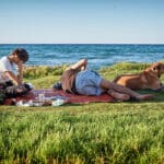 כלב, בעל חיים, זוג, דשא, מחצלת, טיילת, חוף, בת גלים, שכונה, שכונות, אחה״צ, שקיעה, שלווה