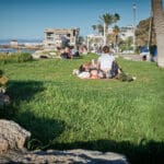 כלב, בעל חיים, זוג, דשא, מחצלת, טיילת, חוף, בת גלים, שכונה, שכונות, אחה״צ, שקיעה, שלווה