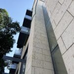 צואת עטלפים על קיר המלון הנמצא בשלבי בניה במושבה הגרמנית בחיפה – דניה סיבוס – אוקטובר 2025 (צילום: ירון כרמי)