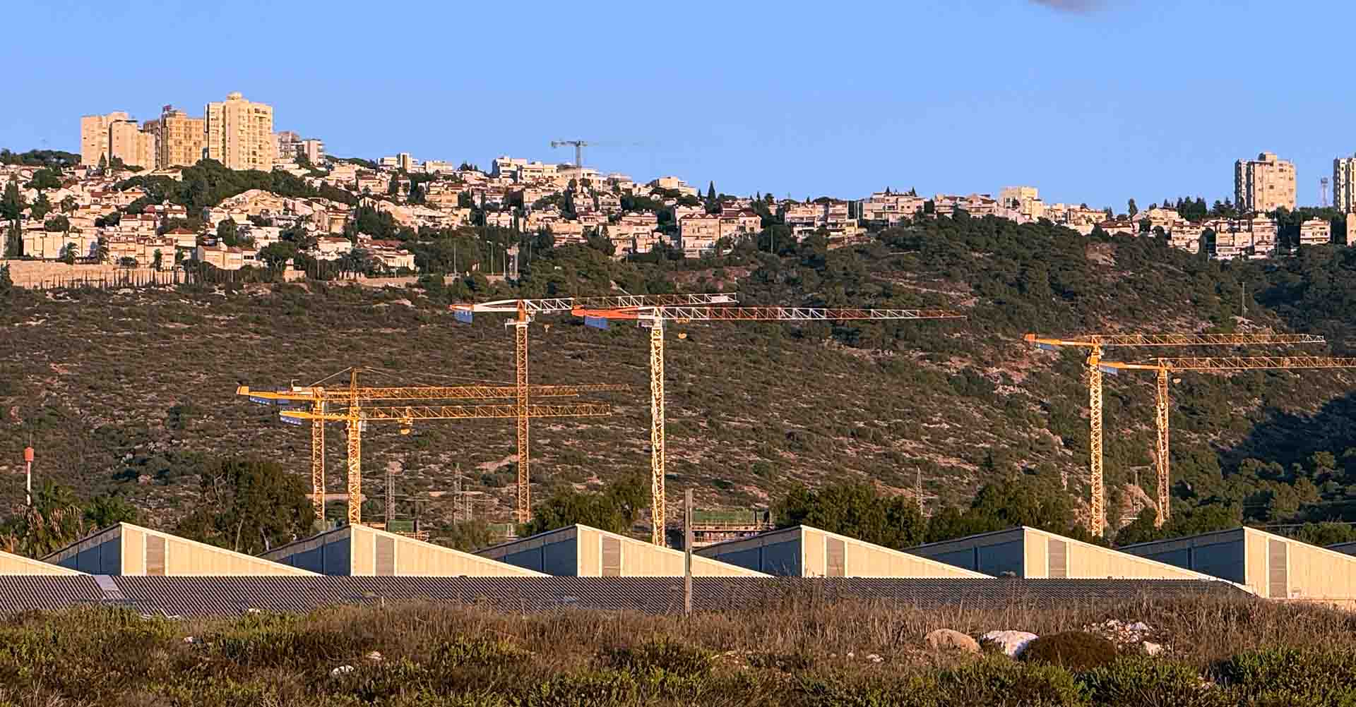 מנופים באתר הבנייה של נאות נבון בחיפה (צילום: ירון כרמי)