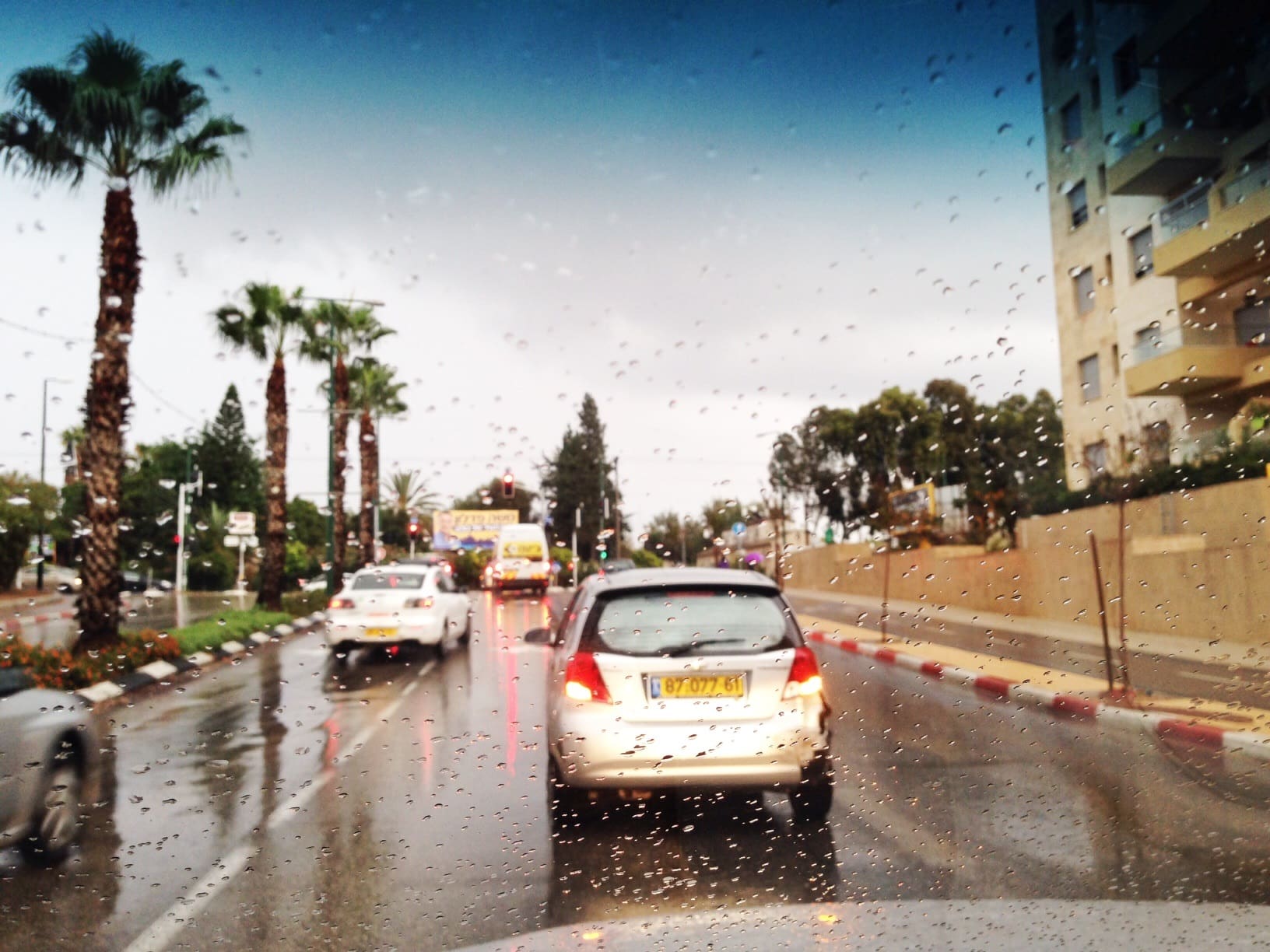 כבישים רטובים (צילום: אור ירוק)