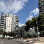 סביוני דניה (צילום: ירון כרמי)