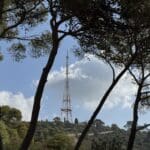 האנטנה בין חיפה לעיספיא – פארק הכרמל (צילום: ירון כרמי)