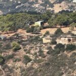 חי בר – רשות הטבע והגנים – מבט מפארק הכרמל (צילום: ירון כרמי)