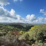 פארק הכרמל (צילום: ירון כרמי)