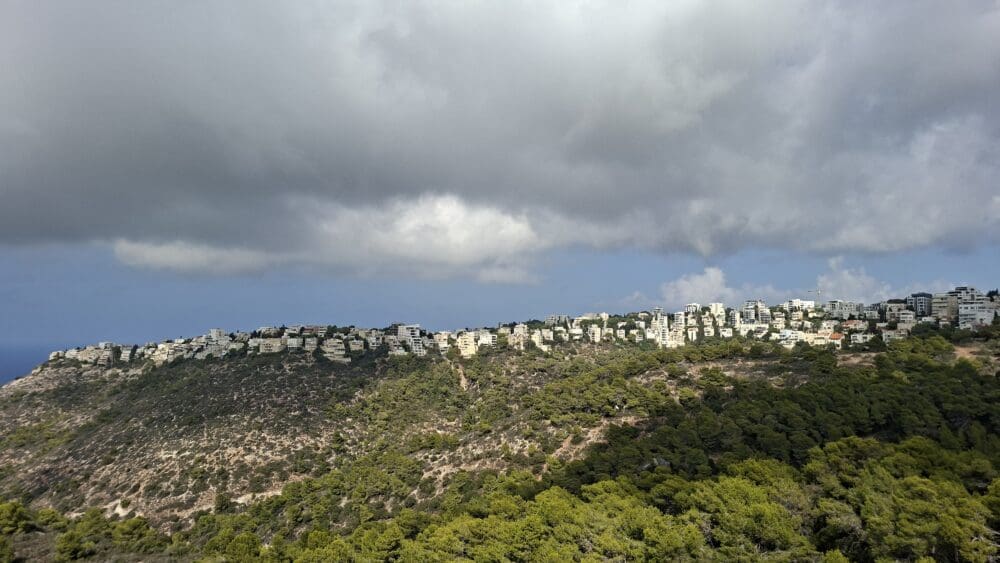 נוף ירוק, שמים ועננים באירוע השקת הספר "זה מה יש" גיתית הראל-גליקמן (צילום: רחלי אורבך)