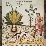 בבית אמוץ דפני – כריכת הספר "צמחים, שדים ונפלאות" (צילום: רחלי אורבך)