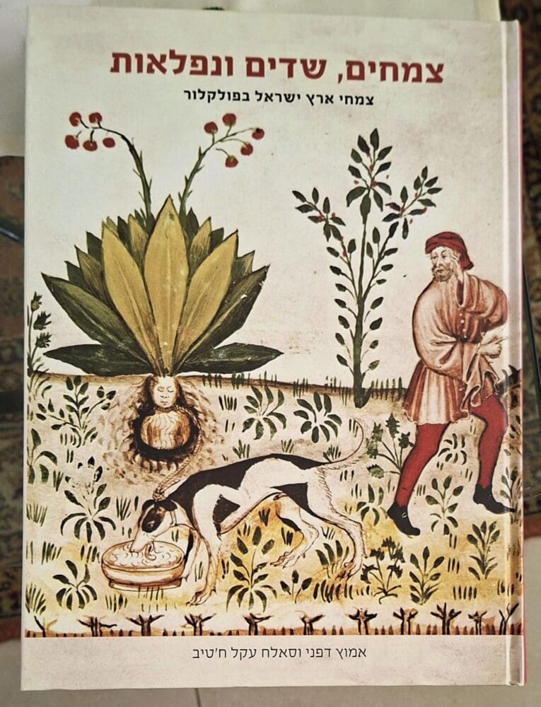 בבית אמוץ דפני - כריכת הספר "צמחים, שדים ונפלאות" (צילום: רחלי אורבך)