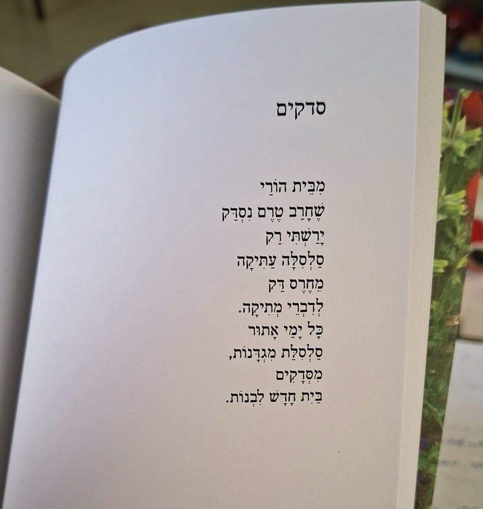אמוץ דפני - השיר: סדקים (צילום: רחלי אורבך)