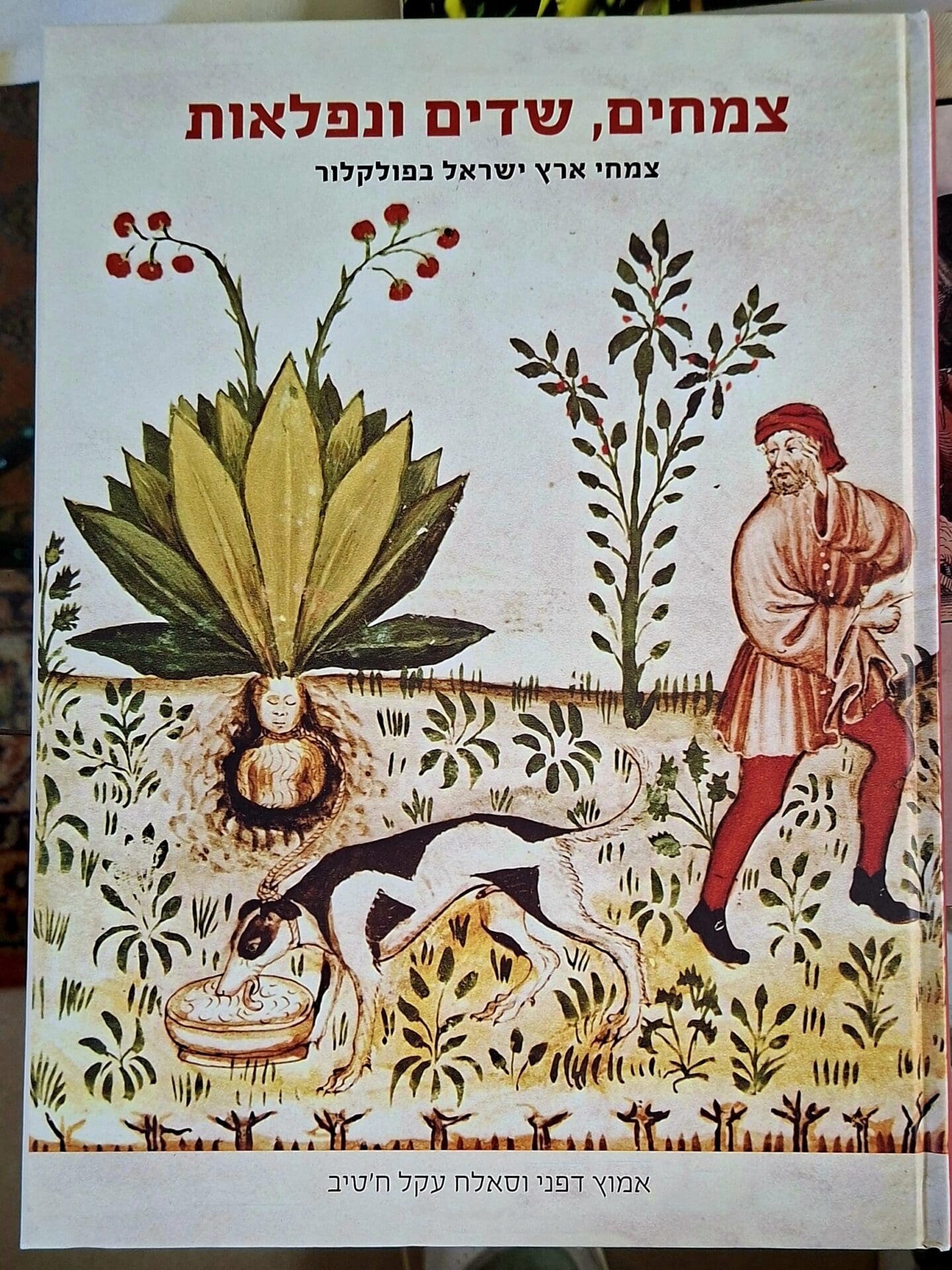 בבית אמוץ דפני - כריכת הספר 