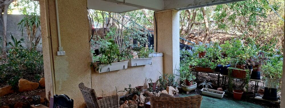 בבית אמוץ דפני - גינת הבניין המשותפת לשכנים (צילום: רחלי אורבך)