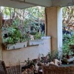בבית אמוץ דפני – גינת הבניין המשותפת לשכנים (צילום: רחלי אורבך)