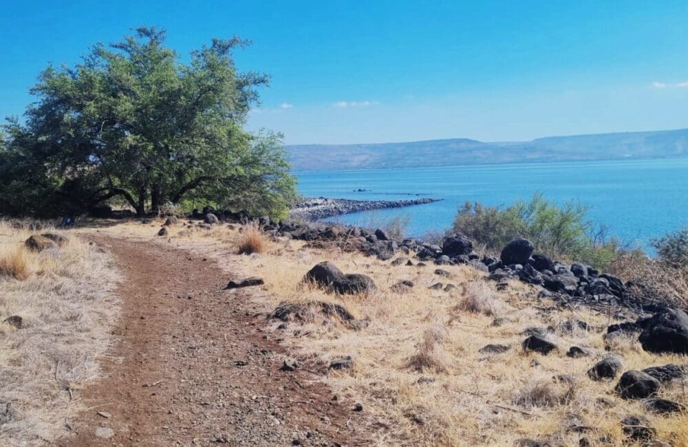 שביל סובב כינרת - מקטע כפר לנחום לטבחה (צילום דניאל וקנין, איגוד ערים כינרת) 