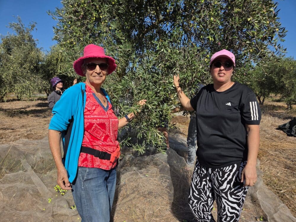 הדס להב, מנכ"לית סינדיאנת הגליל וחנאן זועבי חברת צוות הנהלת העמותה (צילום: יעל הורוביץ)