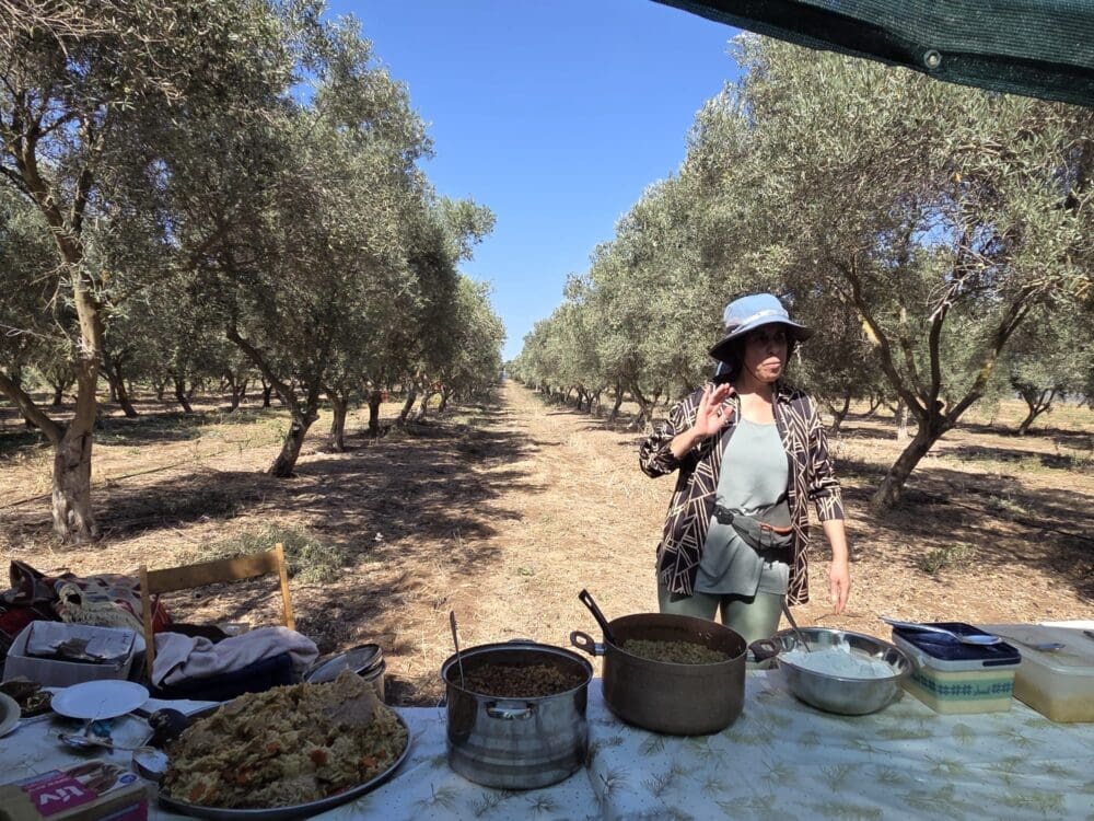 ארוחה בטבע למשתתפי מסיק הזיתים במטע הסקוטי של סינדיאנת הגליל (צילום: יעל הורוביץ) 
