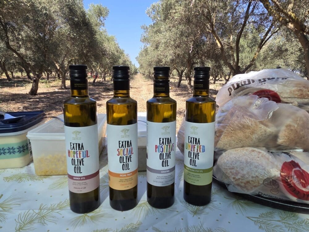 שמן הזית עטור הפרסים של עמותת סינדיאנה (צילום: יעל הורוביץ)