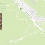 Location 54 סתוונית היורה