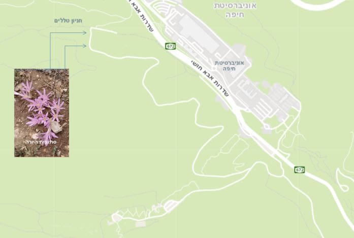 מפגש עם סתוונית היורה • המפה באדיבות מרכז מפות ישראל