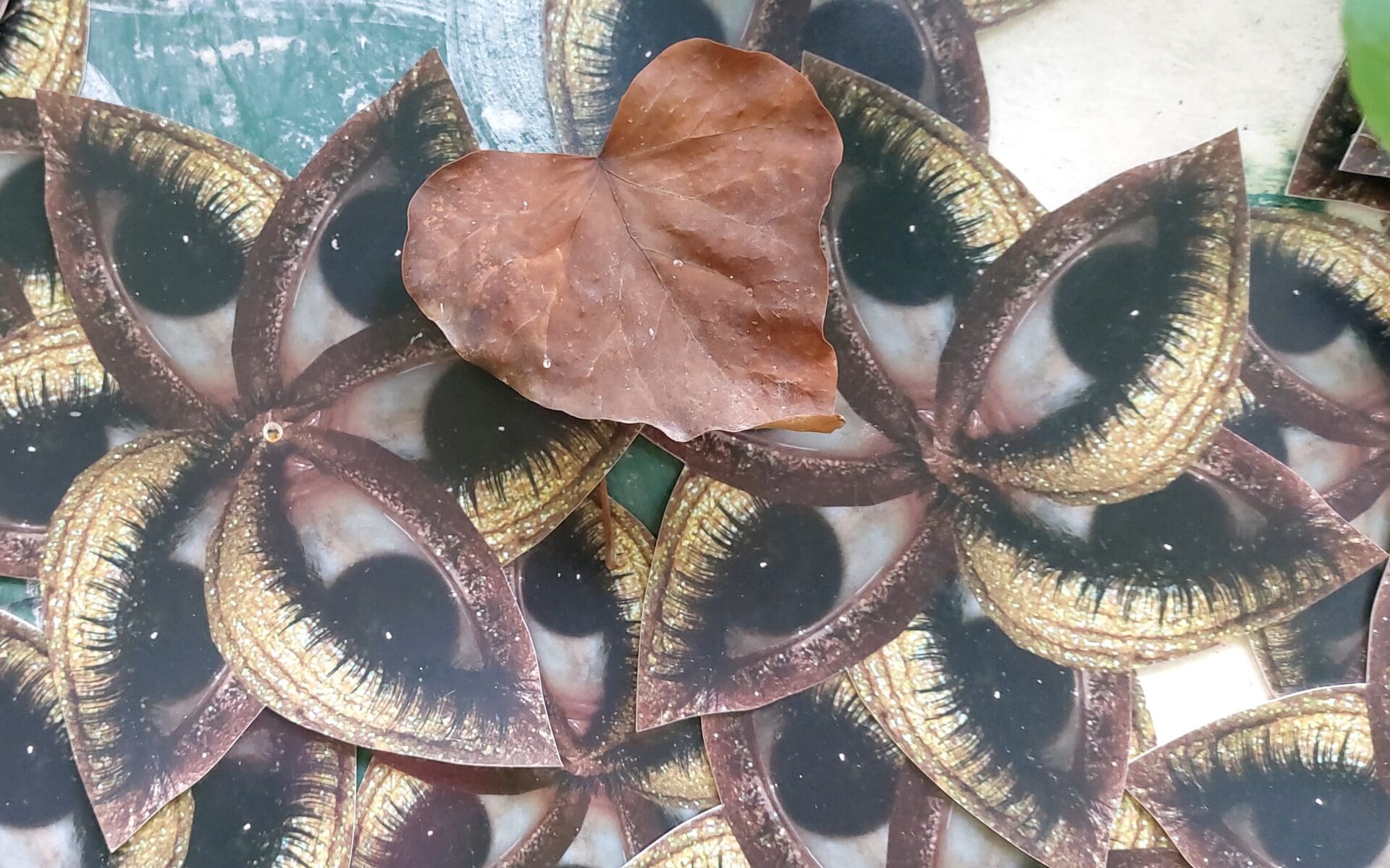 יצירה של רחל אניו (צילום: אבי אלבאום)