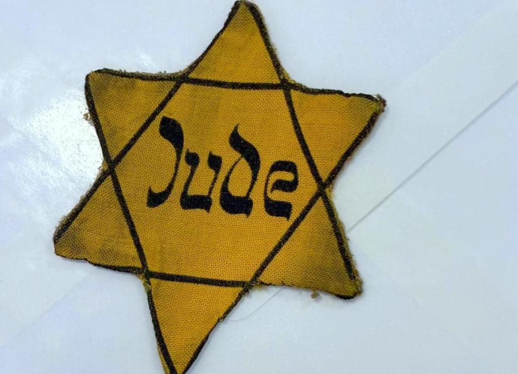 טלאי צהוב (צילום: דוד סבג)