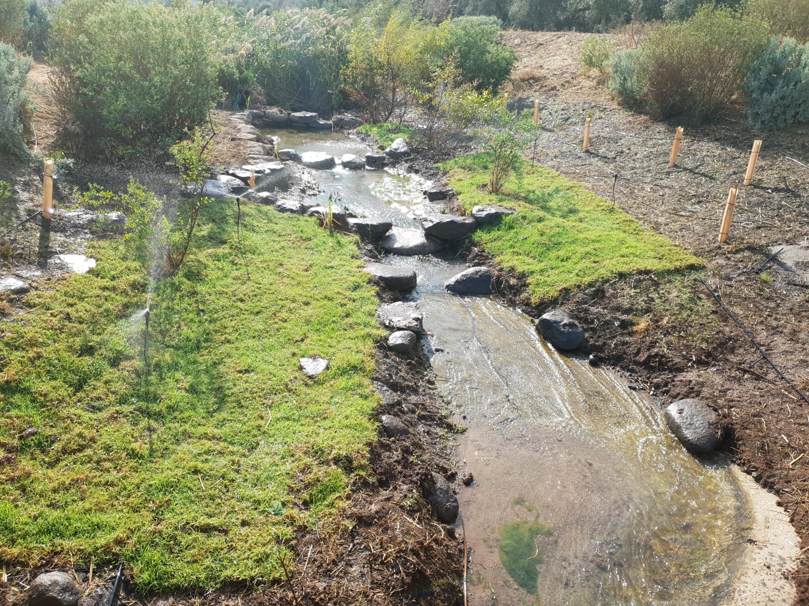 נחל קישון לפני השיקום (צילום: רשות ניקוז ונחלים ירדן דרומי)