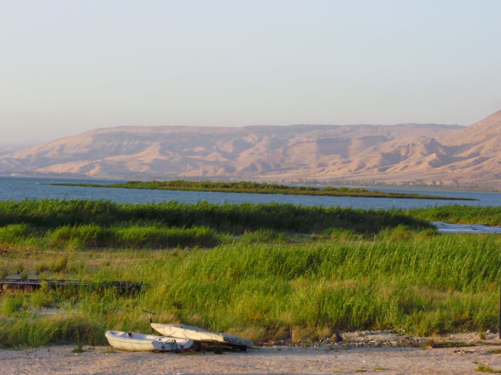 אי בלב הכנרת (צילום: מוטי מנדלסון)