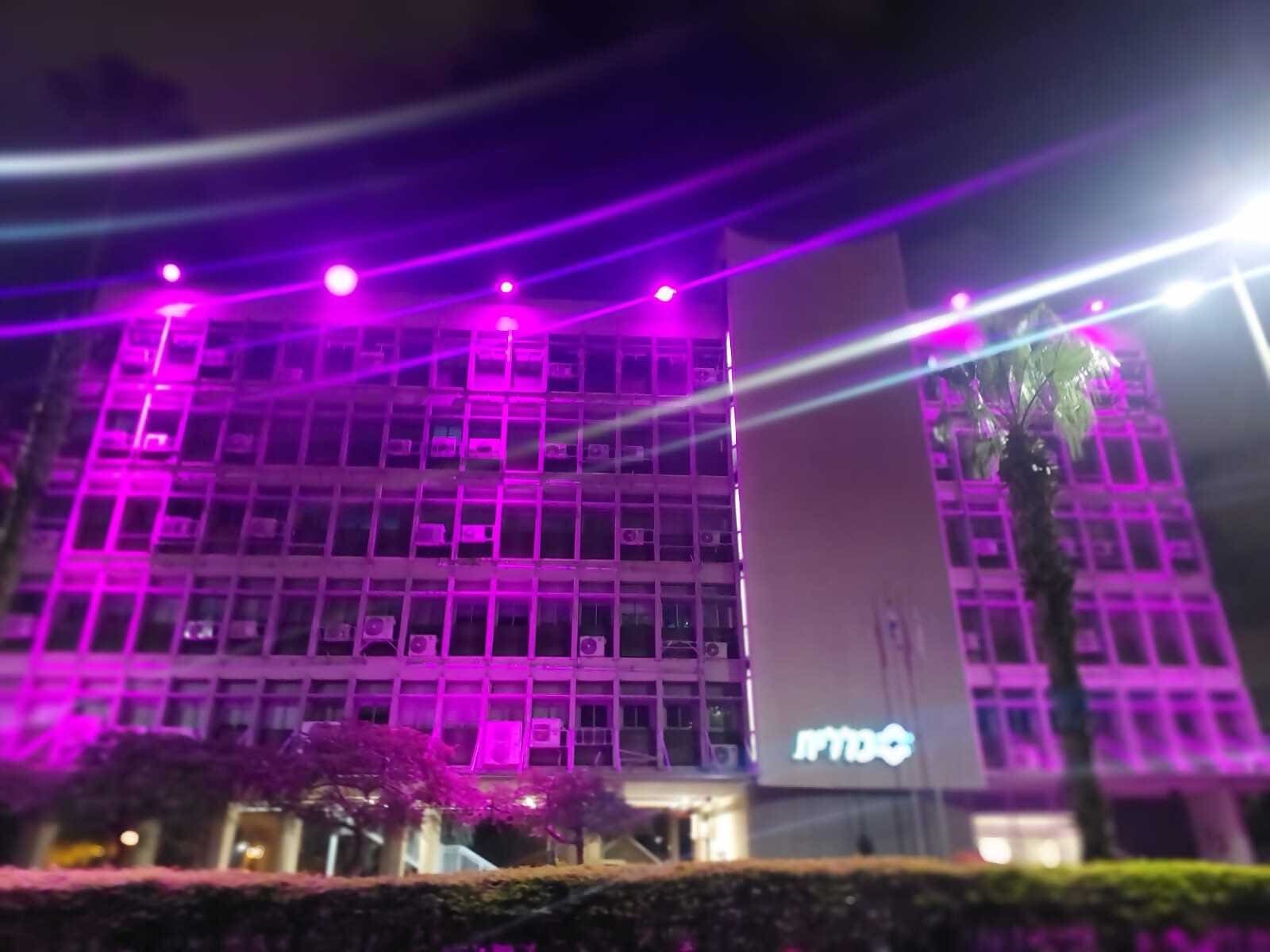 מאירים בסגול. בנין הנהלת כללית בחיפה (צילום: כללית)