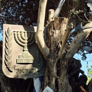 בחצר בית משה צמרת – סמלי המדינה בין ענפי הזית (צילום: רחלי אורבך)