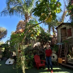 משה צמרת – מבט כללי אל חצר מעונו (צילום: רחלי אורבך)