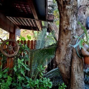 בחצר בית משה צמרת – קרן אייל רב שנים, שרכים וצמחים ירוקים (צילום: רחלי אורבך)
