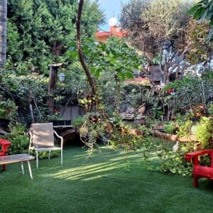 בחצר בית משה צמרת – מבט אל פינת הישיבה והכורסאות האדומות (צילום: רחלי אורבך)