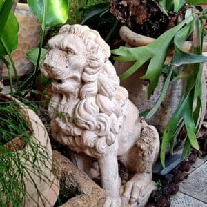 בבית משה צמרת – לבני מזל אריה: כוח פנימי ואומץ, נחישות ויכולת ארגון (צילום: רחלי אורבך)