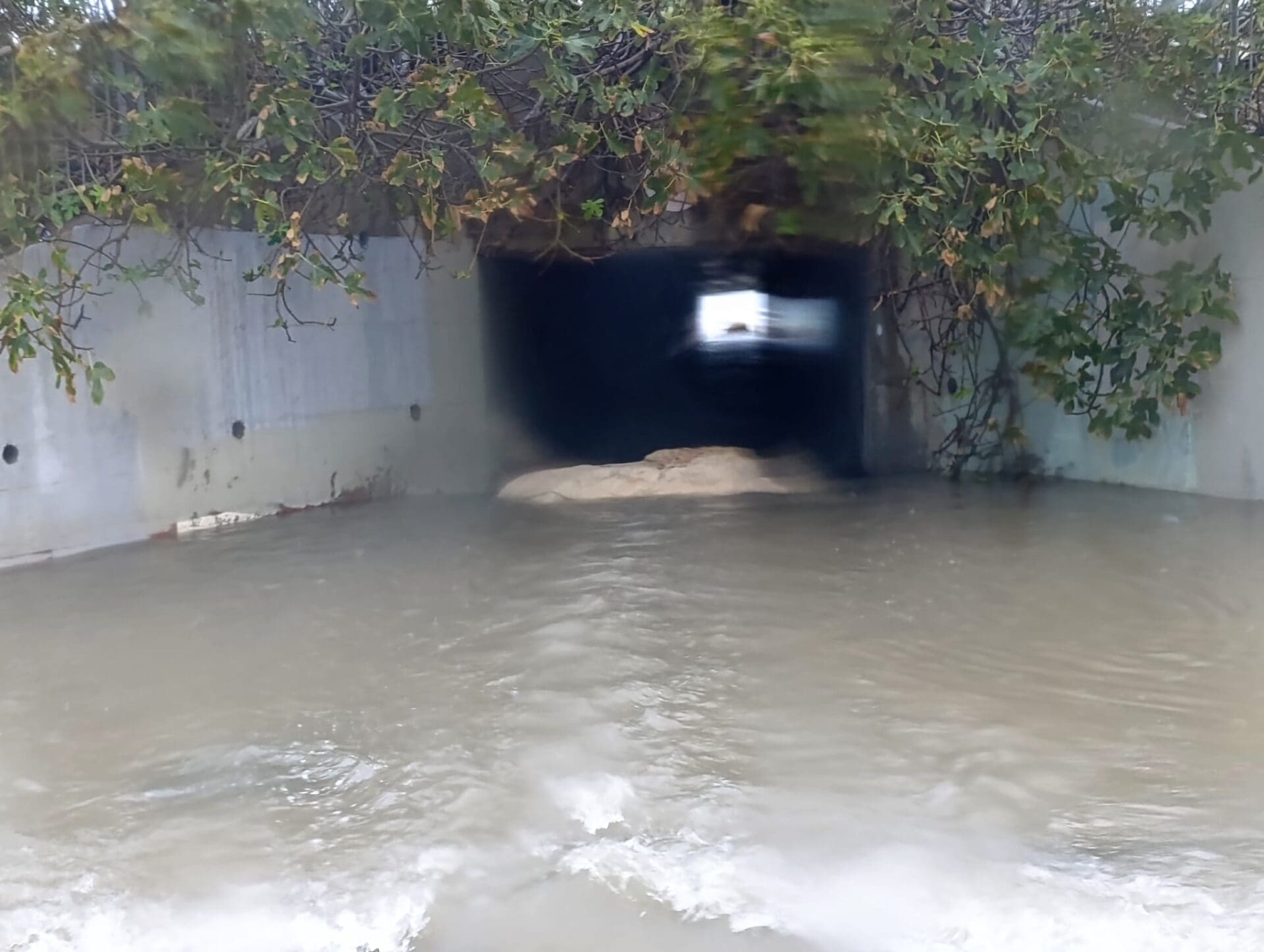 הצפות ביוחאי בן נון (צילום: קוראי חי פה)
